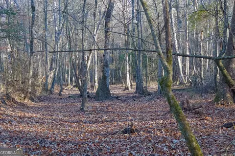 0 Limestone Rd, Cochran, GA 31014 photo 9