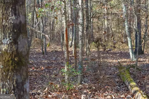 0 Limestone Rd, Cochran, GA 31014 photo 23