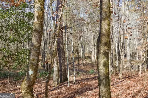 0 Limestone Rd, Cochran, GA 31014 photo 34