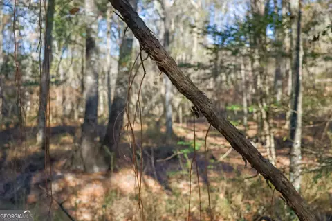 0 Limestone Rd, Cochran, GA 31014 photo 29
