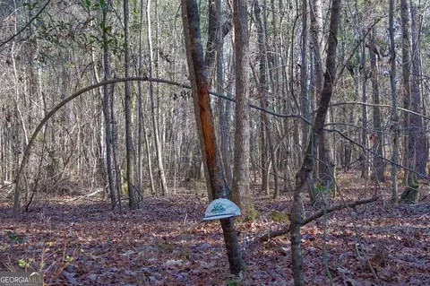 0 Limestone Rd, Cochran, GA 31014 photo 25