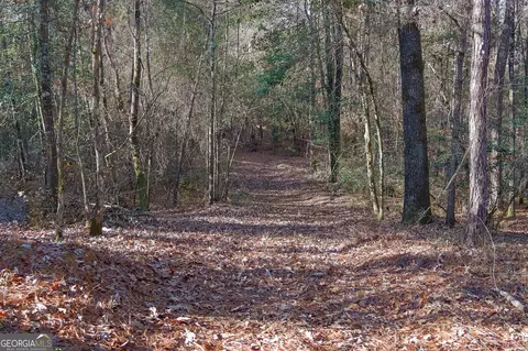 0 Limestone Rd, Cochran, GA 31014 photo 16