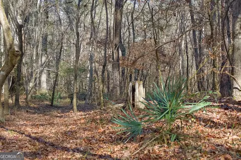0 Limestone Rd, Cochran, GA 31014 photo 27