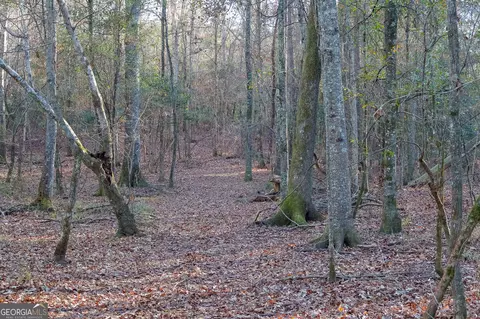 0 Limestone Rd, Cochran, GA 31014 photo 7