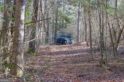 0 Limestone Rd, Cochran, GA 31014 photo 15
