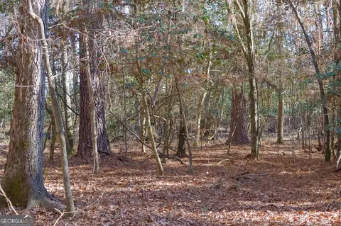 0 Limestone Rd, Cochran, GA 31014 photo 18