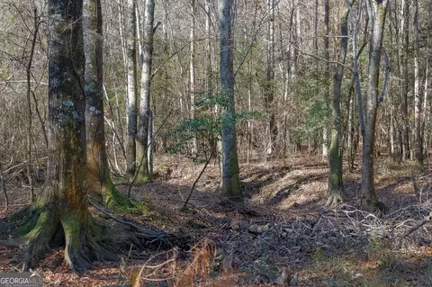 0 Limestone Rd, Cochran, GA 31014 photo 28
