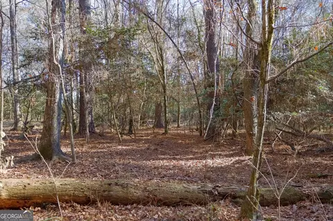 0 Limestone Rd, Cochran, GA 31014 photo 17
