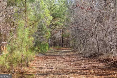 0 Limestone Rd, Cochran, GA 31014 photo 32