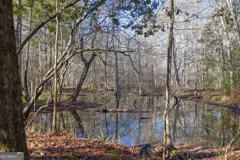 0 Limestone Rd, Cochran, GA 31014 photo 33