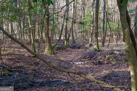 0 Limestone Rd, Cochran, GA 31014 photo 19