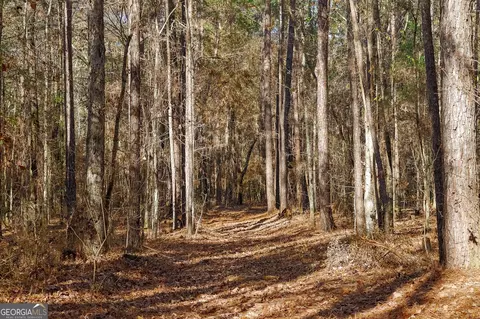 0 Limestone Rd, Cochran, GA 31014 photo 24