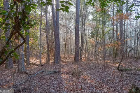 0 Limestone Rd, Cochran, GA 31014 photo 13