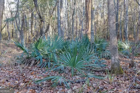 0 Limestone Rd, Cochran, GA 31014 photo 11