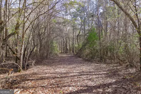 0 Limestone Rd, Cochran, GA 31014 photo 31