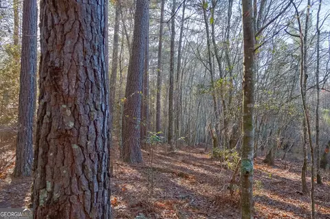 0 Limestone Rd, Cochran, GA 31014 photo 14