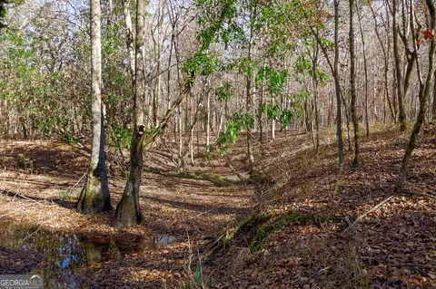 0 Limestone Rd, Cochran, GA 31014 photo 37