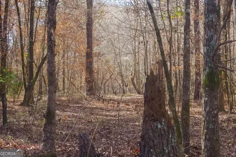 0 Limestone Rd, Cochran, GA 31014 photo 39