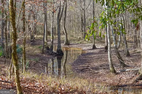 0 Limestone Rd, Cochran, GA 31014