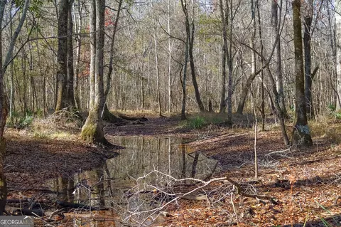 0 Limestone Rd, Cochran, GA 31014 photo 35