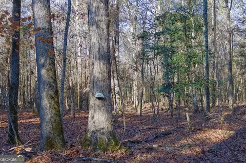 0 Limestone Rd, Cochran, GA 31014 photo 3