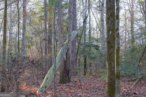 0 Limestone Rd, Cochran, GA 31014 photo 10
