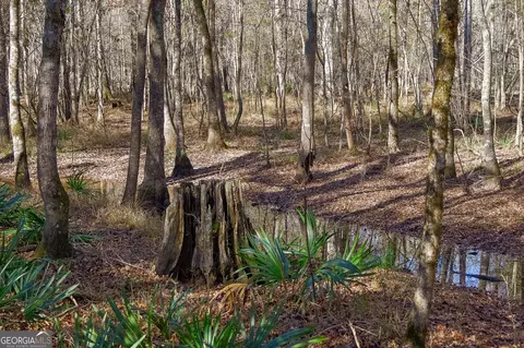0 Limestone Rd, Cochran, GA 31014 photo 2