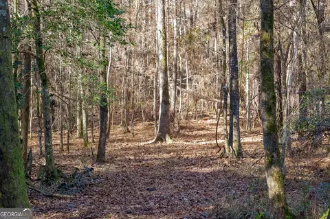 0 Limestone Rd, Cochran, GA 31014 photo 22