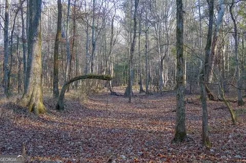 0 Limestone Rd, Cochran, GA 31014 photo 8