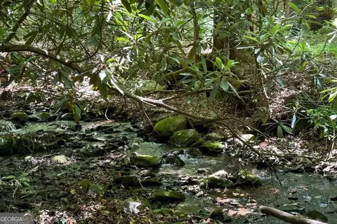 Undisclosed, Hayesville, NC 28904