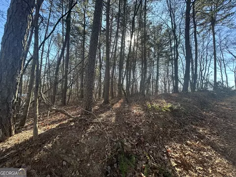 0 Highland Tree Ct, Ranger, GA 30734