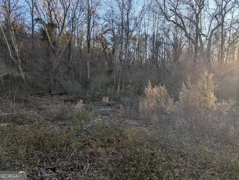 0 Oliver Rd, Barnesville, GA 30204 photo 10