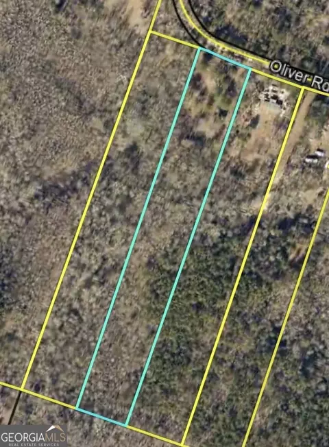 0 Oliver Rd, Barnesville, GA 30204 photo 13