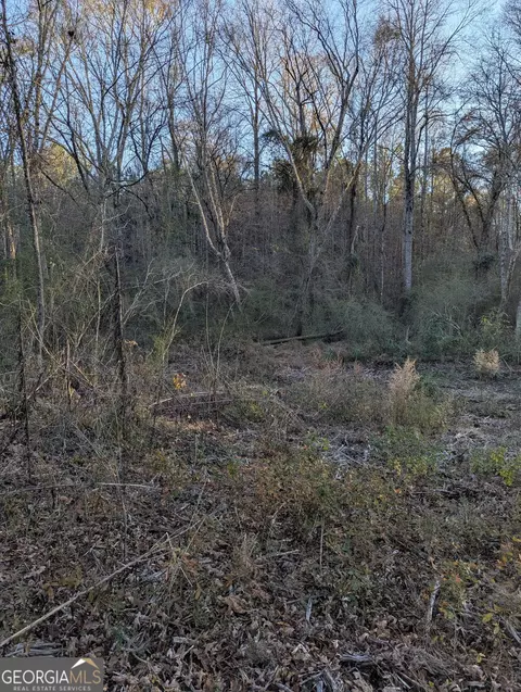 0 Oliver Rd, Barnesville, GA 30204 photo 11