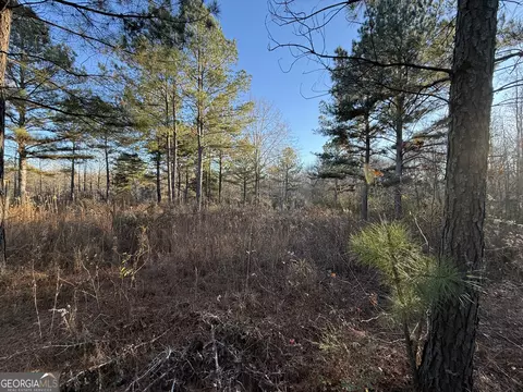0 Oliver Rd, Barnesville, GA 30204 photo 2