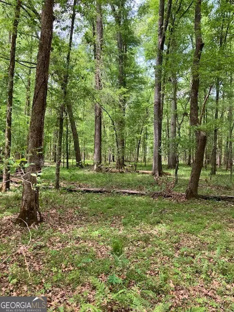 310 Philomath Woodville Rd, Rayle, GA 30660