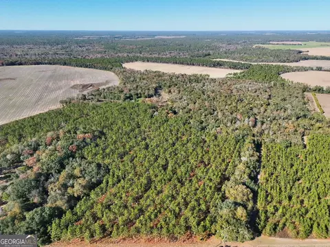 0 Highway 311, Camilla, GA 31730