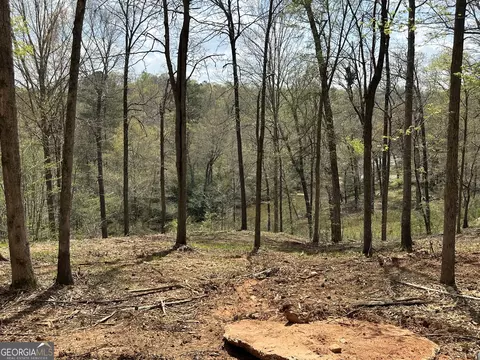 View/Area - 607 Forest Pointe Dr, Forsyth, GA 31029 photo 3 of 3