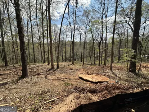 Other - 607 Forest Pointe Dr, Forsyth, GA 31029 photo 10 of 10