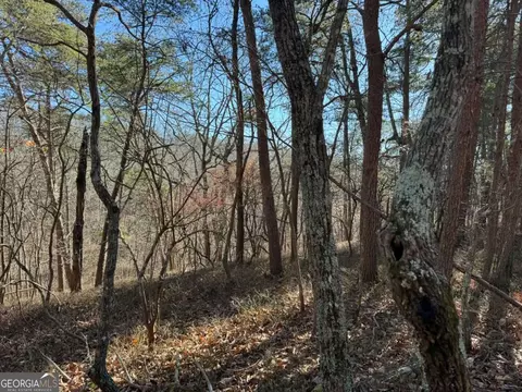 1493 Derby Ct NE, Ranger, GA 30734