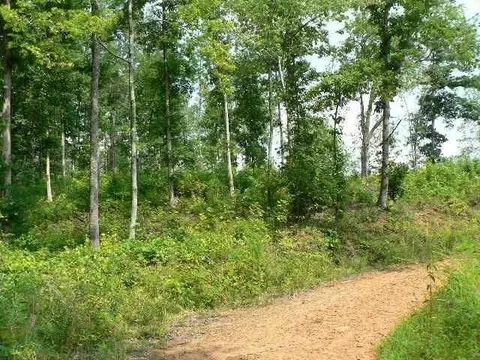 0 Duncan Bridge Rd, Cleveland, GA 30528