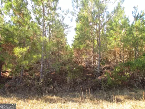 0088 003a Pine Level Church Rd, Hazlehurst, GA 31539