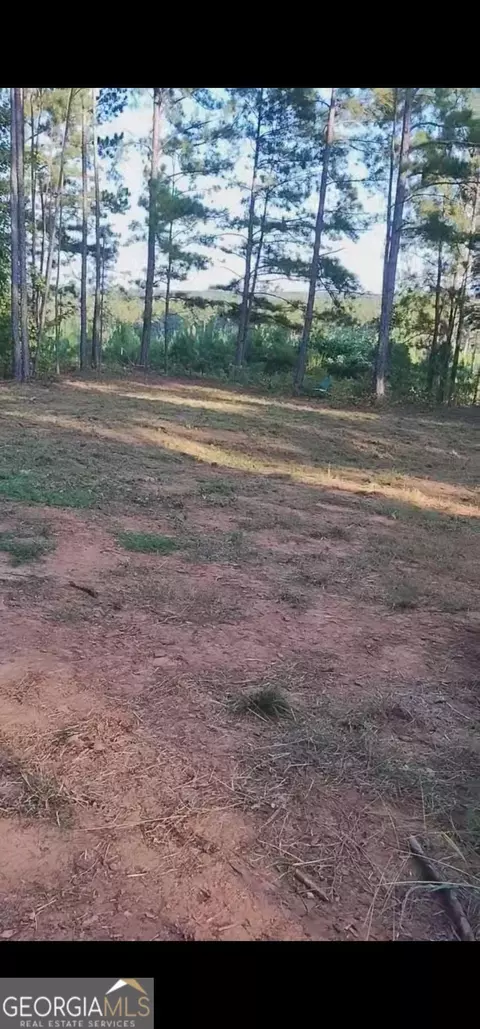1538 Freeman Rd, Forsyth, GA 31029 photo 3