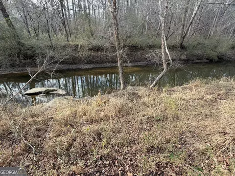 0 Armstrong Mill Rd, Franklin, GA 30217 photo 11