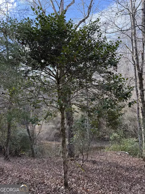 0 Armstrong Mill Rd, Franklin, GA 30217 photo 19