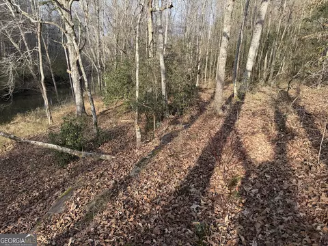 0 Armstrong Mill Rd, Franklin, GA 30217 photo 14