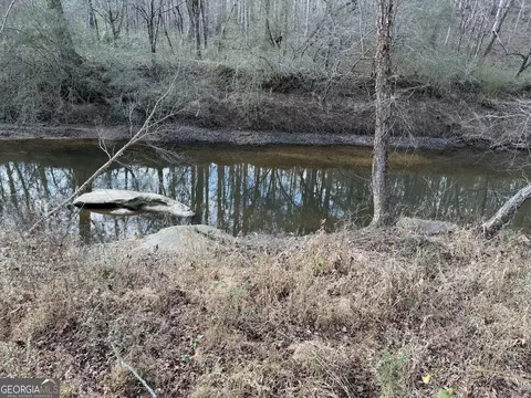 0 Armstrong Mill Rd, Franklin, GA 30217 photo 6