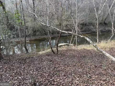0 Armstrong Mill Rd, Franklin, GA 30217 photo 13