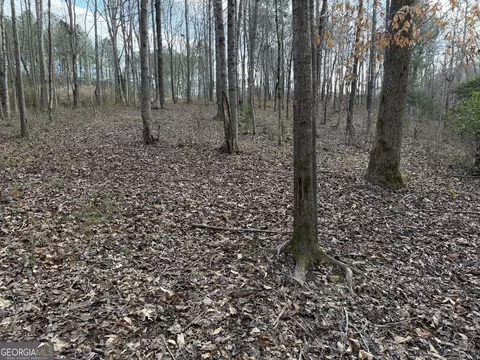 0 Armstrong Mill Rd, Franklin, GA 30217 photo 18