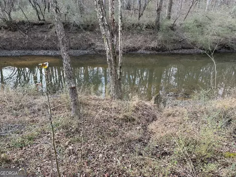 0 Armstrong Mill Rd, Franklin, GA 30217 photo 7